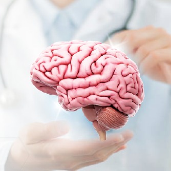 BRAIN & MEMORY BOOSTER