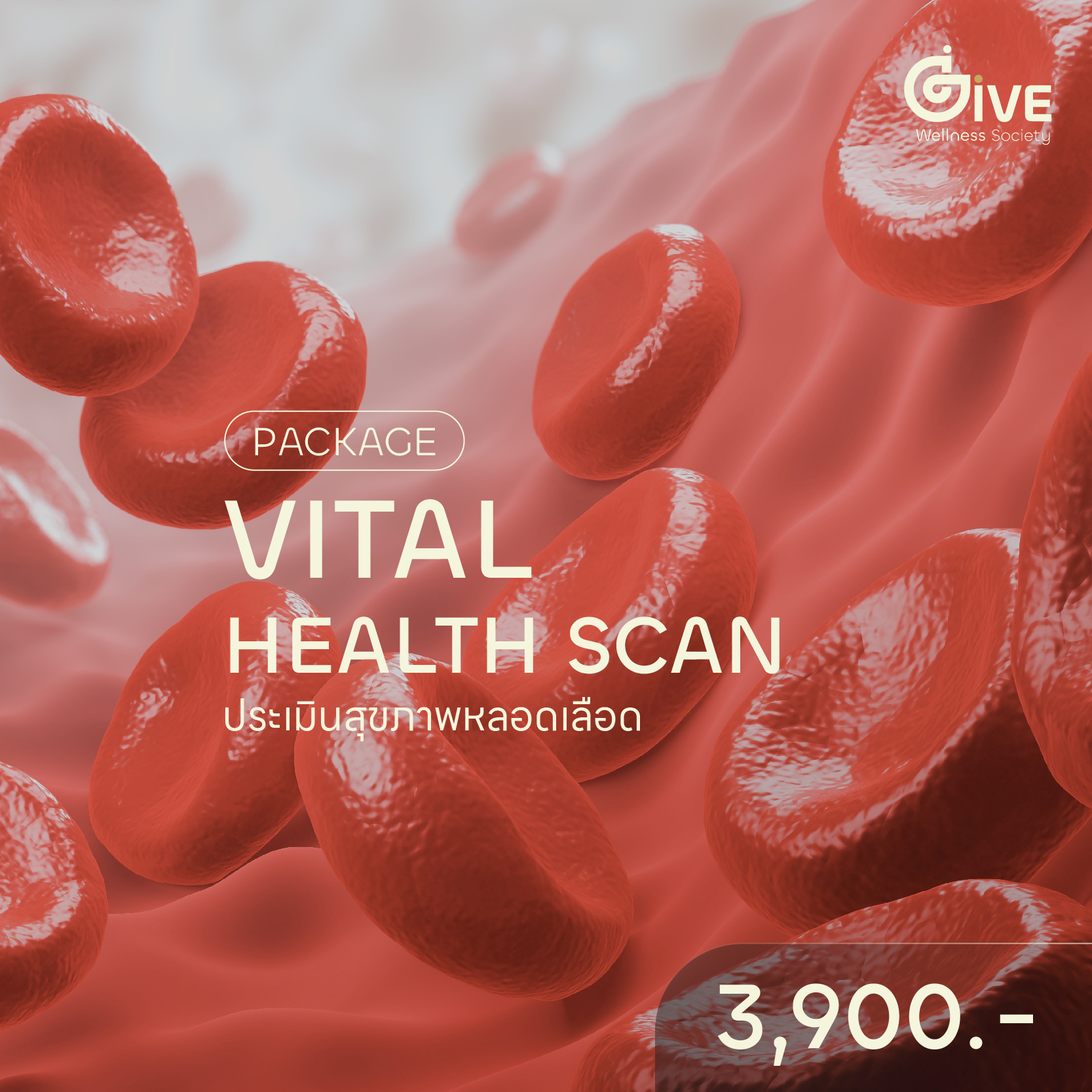 VITAL HEALTH SCAN